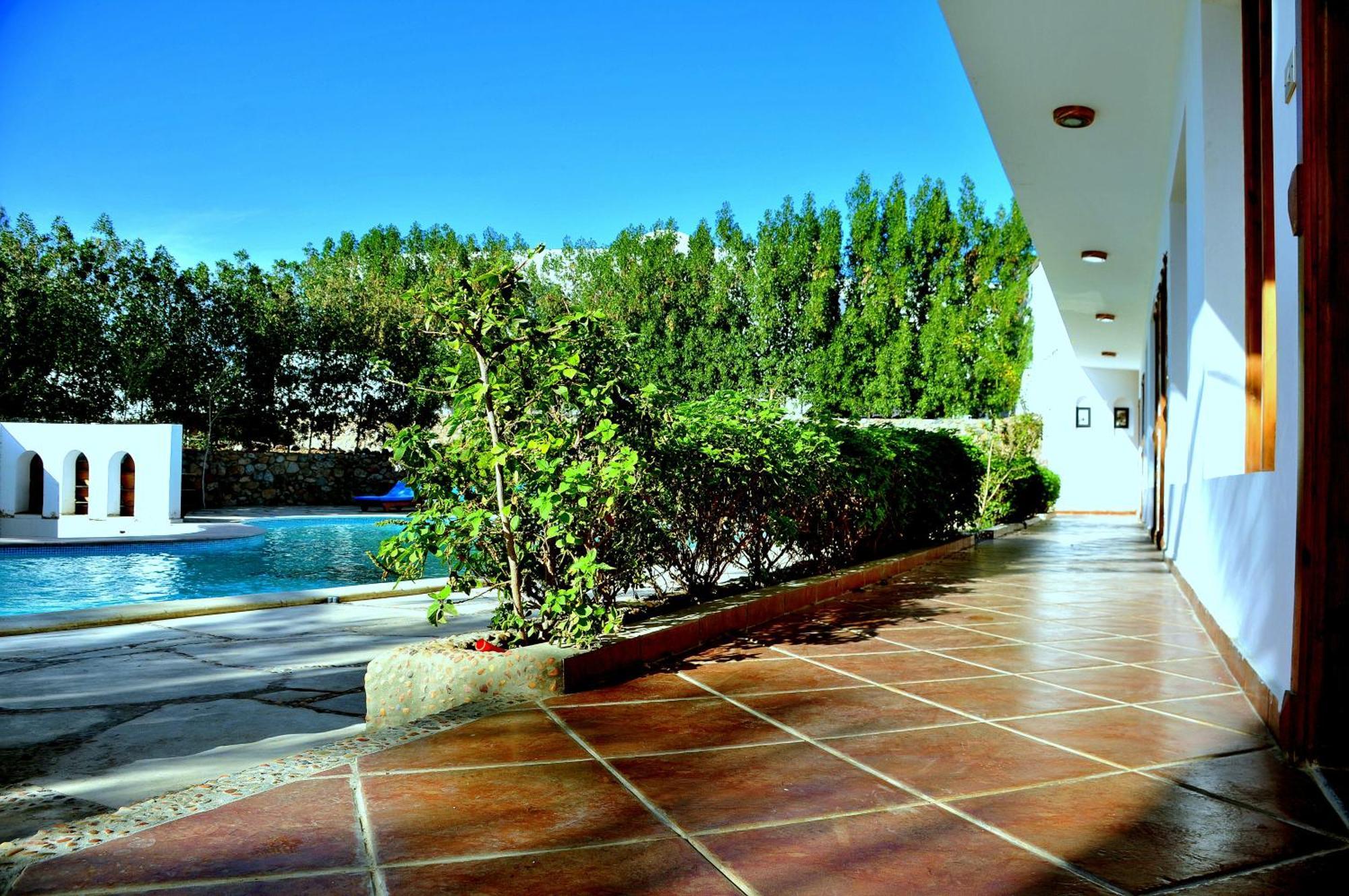 Superior Double Room Pool View